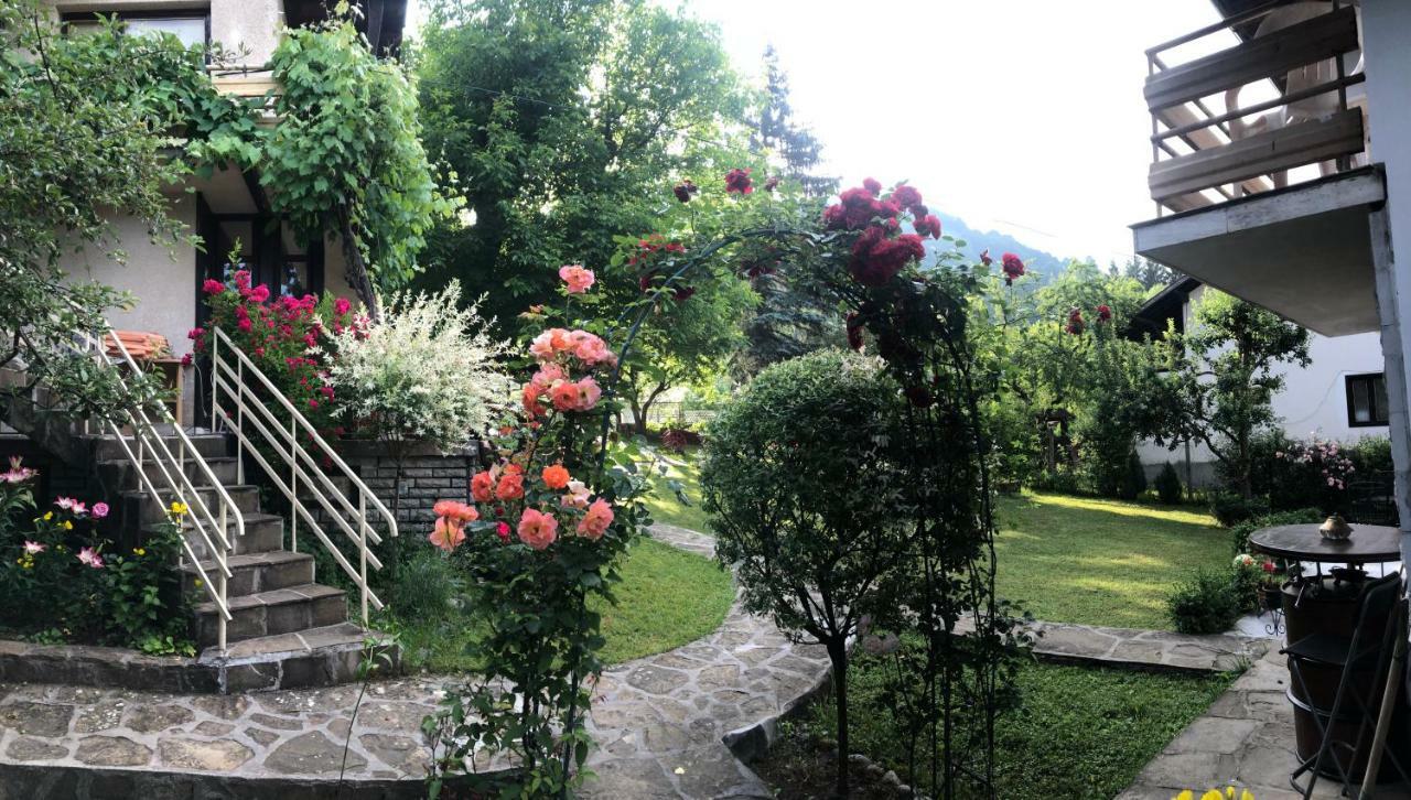 Luylyana Guesthouse Рибарица Экстерьер фото