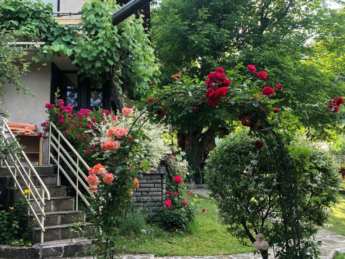 Luylyana Guesthouse Рибарица Экстерьер фото